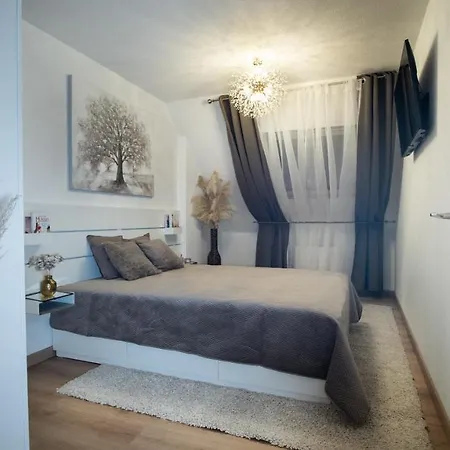 アパート Superbe Au Coeur Du コルマール