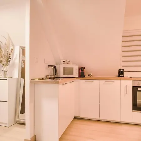 Superbe Au Coeur Du アパート